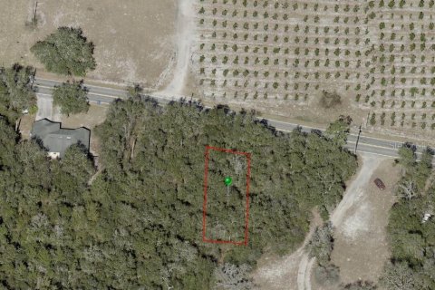 Land in De Leon Springs, Florida № 2198254 - photo 6