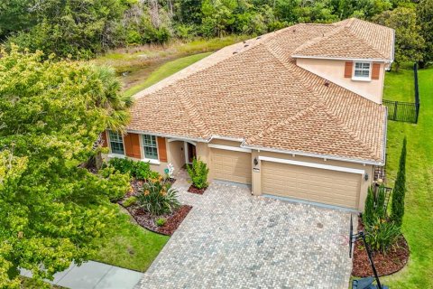 Villa ou maison à vendre à Lutz, Floride: 4 chambres, 301.28 m2 № 2407019 - photo 3