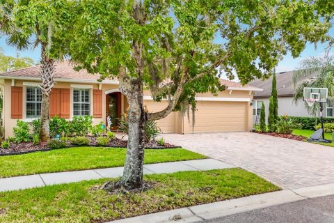 Villa ou maison à vendre à Lutz, Floride: 4 chambres, 301.28 m2 № 2407019 - photo 4