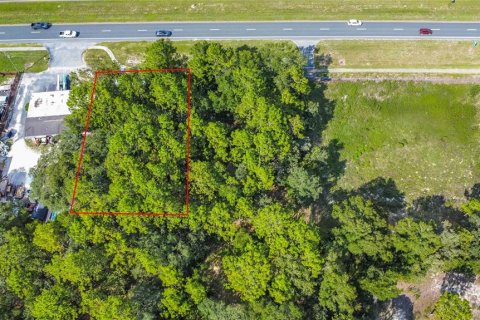 Terrain à vendre à Lecanto, Floride № 2204325 - photo 24
