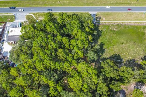 Terrain à vendre à Lecanto, Floride № 2204325 - photo 25