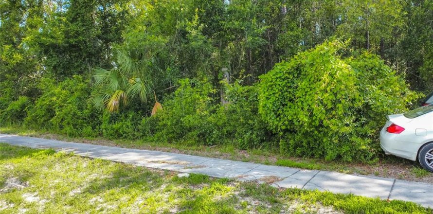 Terrain à Lecanto, Floride № 2204325