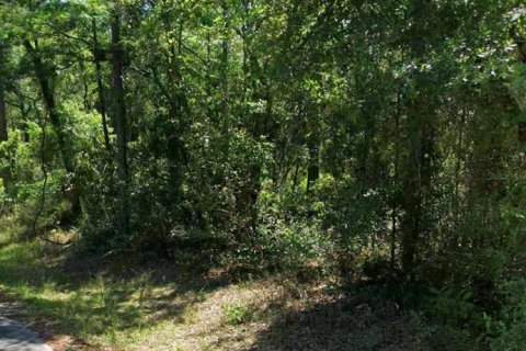 Land in Inverness, Florida № 2359228