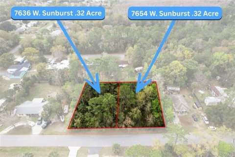 Land in Homosassa, Florida № 2228882 - photo 7