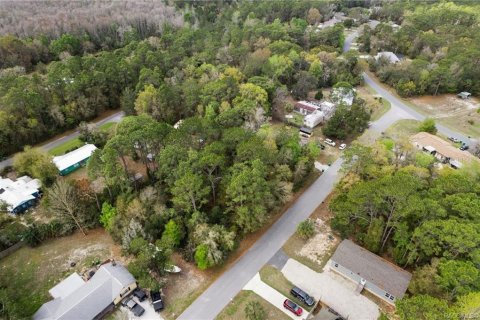 Land in Homosassa, Florida № 2228882 - photo 20