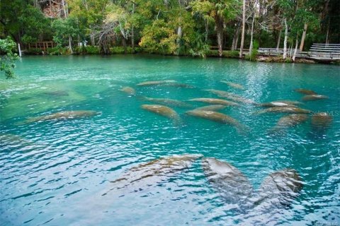 Land in Homosassa, Florida № 2228882 - photo 27