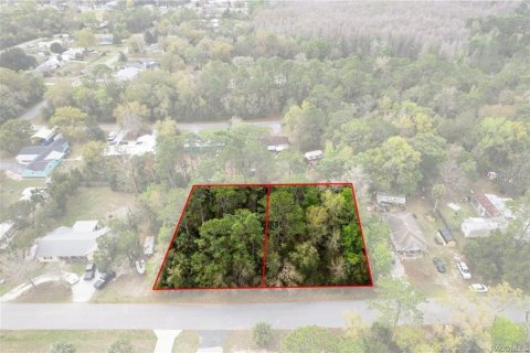 Land in Homosassa, Florida № 2228882 - photo 10