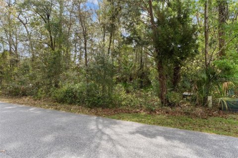 Land in Homosassa, Florida № 2228882 - photo 3