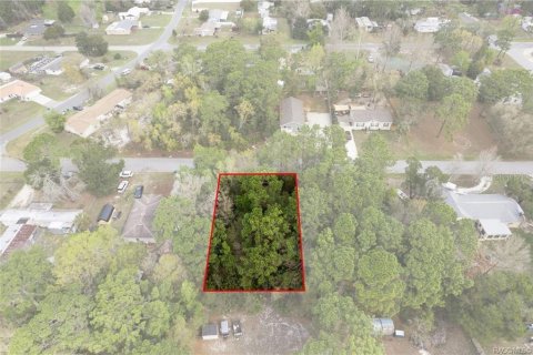 Land in Homosassa, Florida № 2228882 - photo 13