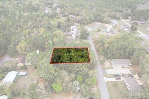 Land in Homosassa, Florida № 2228882 - photo 11