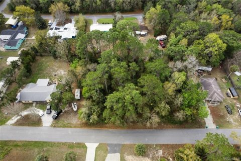 Land in Homosassa, Florida № 2228882 - photo 21