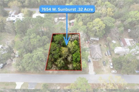 Land in Homosassa, Florida № 2228882