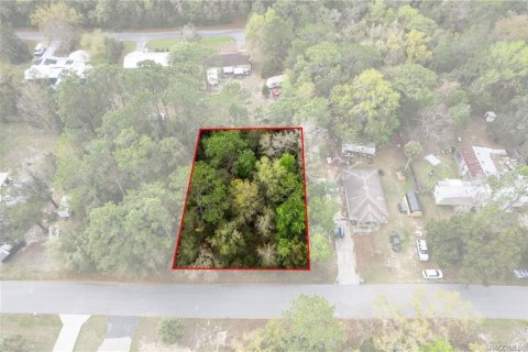Land in Homosassa, Florida № 2228882 - photo 2