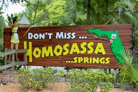 Land in Homosassa, Florida № 2228882 - photo 26