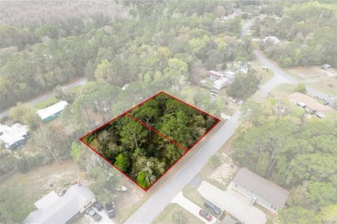 Land in Homosassa, Florida № 2228882 - photo 8