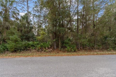 Land in Homosassa, Florida № 2228882 - photo 15