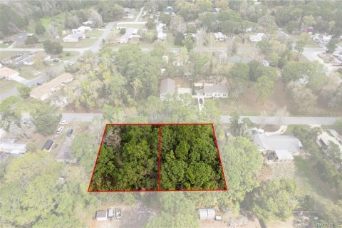 Land in Homosassa, Florida № 2228882 - photo 16