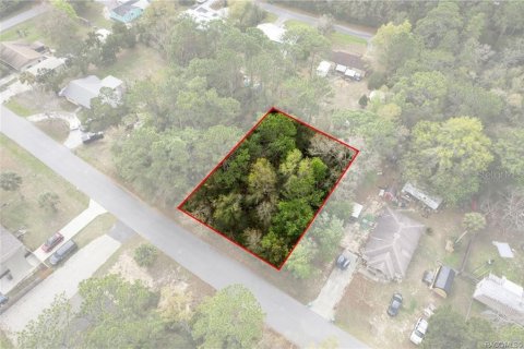 Land in Homosassa, Florida № 2228882 - photo 5