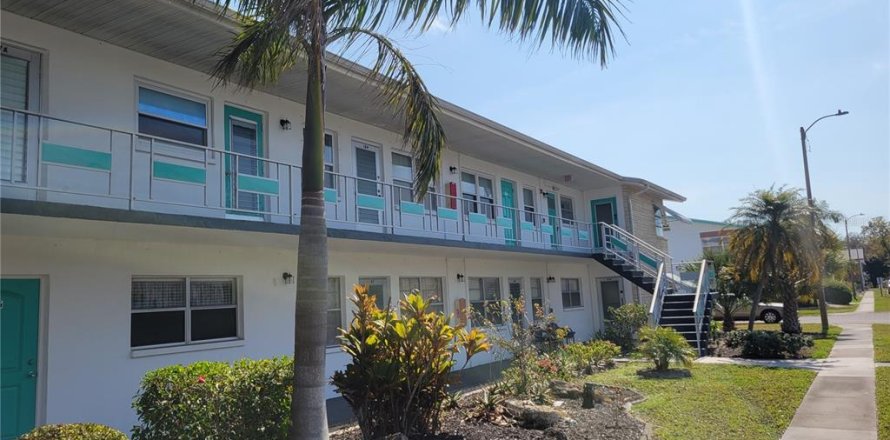 Condo in Saint Petersburg, Florida, 1 bedroom  № 2233038