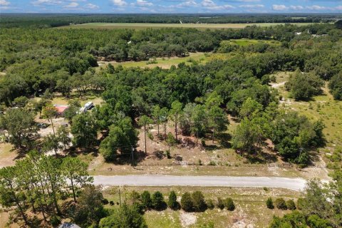 Terrain à vendre à Old Town, Floride № 2236603 - photo 17
