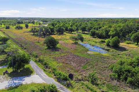 Land in Myakka City, Florida № 2112166 - photo 12