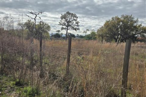 Land in Myakka City, Florida № 2112166 - photo 5