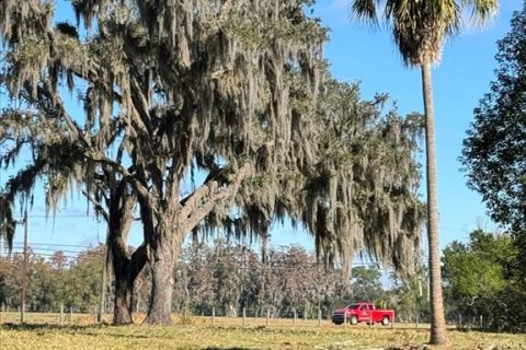 Terreno en venta en Odessa, Florida № 1721860 - foto 8