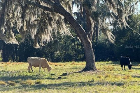 Terreno en venta en Odessa, Florida № 1721860 - foto 6