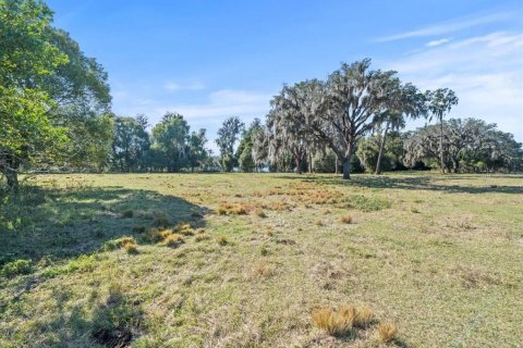 Terreno en venta en Odessa, Florida № 1721860 - foto 14
