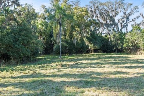 Terreno en venta en Odessa, Florida № 1721860 - foto 9