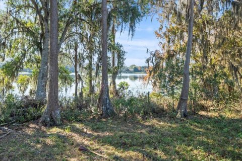 Terreno en venta en Odessa, Florida № 1721860 - foto 5