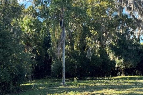 Terreno en venta en Odessa, Florida № 1721860 - foto 7