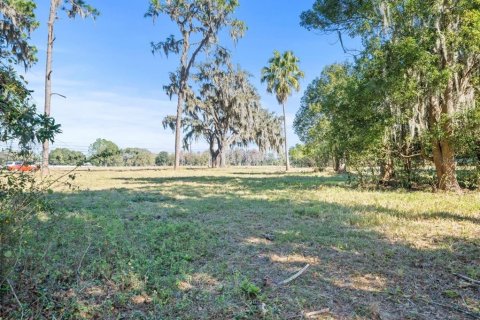 Terreno en venta en Odessa, Florida № 1721860 - foto 13