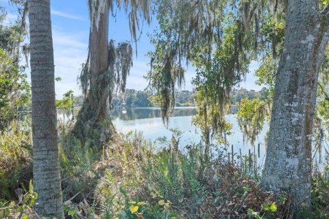 Terreno en venta en Odessa, Florida № 1721860 - foto 3