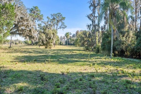 Terreno en venta en Odessa, Florida № 1721860 - foto 11