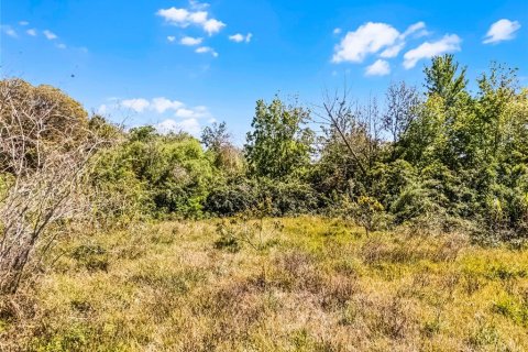 Купить земельный участок в Уинтер-Гарден, Флорида № 1572611 - фото 20