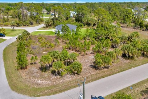 Land in North Port, Florida № 2158775 - photo 2