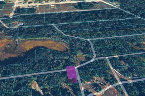 Land in Inverness, Florida № 2163824 - photo 4