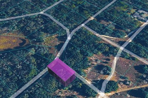 Land in Inverness, Florida № 2163824 - photo 3
