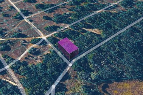 Land in Inverness, Florida № 2163824 - photo 2
