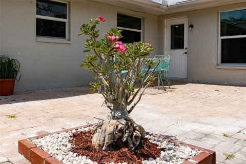 Apartamento en alquiler en North Port, Florida, 1 dormitorio, 46.45 m2 № 1532542 - foto 11