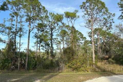 Land in Punta Gorda, Florida № 946211 - photo 10