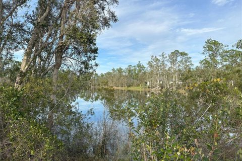 Land in Punta Gorda, Florida № 946211 - photo 12