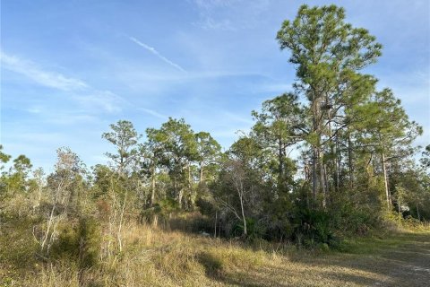 Land in Punta Gorda, Florida № 946211 - photo 14
