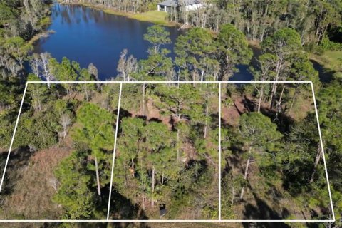 Land in Punta Gorda, Florida № 946211 - photo 2