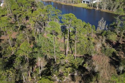 Land in Punta Gorda, Florida № 946211 - photo 7