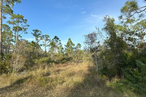 Land in Punta Gorda, Florida № 946211 - photo 15