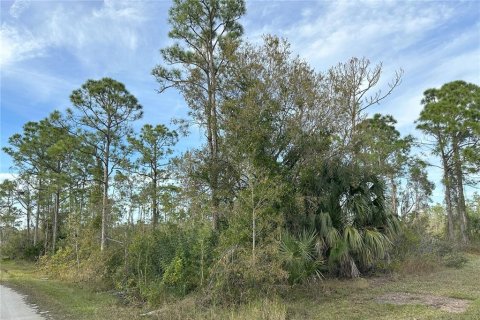 Land in Punta Gorda, Florida № 946211 - photo 11