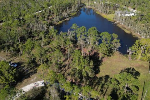 Land in Punta Gorda, Florida № 946211 - photo 3