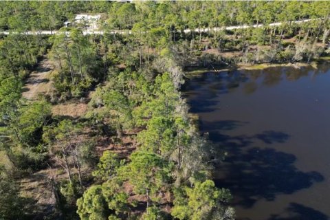 Land in Punta Gorda, Florida № 946211 - photo 4